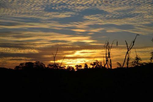 Lodge Recanto Dos Manac�s
