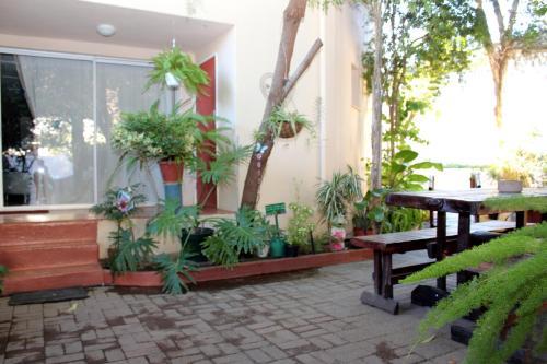 Springbok Apartments