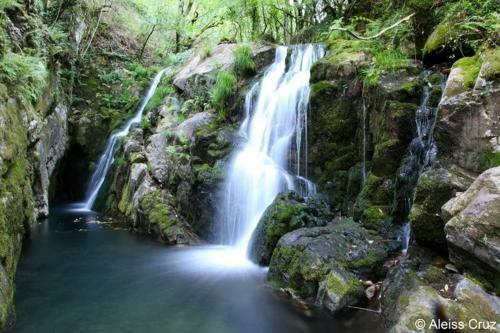 Agroturismo O Curruncho Dos Lopez