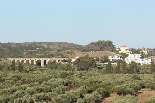 Apartamento Theofilos Appartements