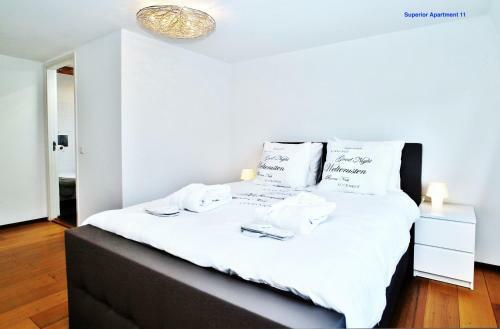 Luxury Apartments Delft V History Written