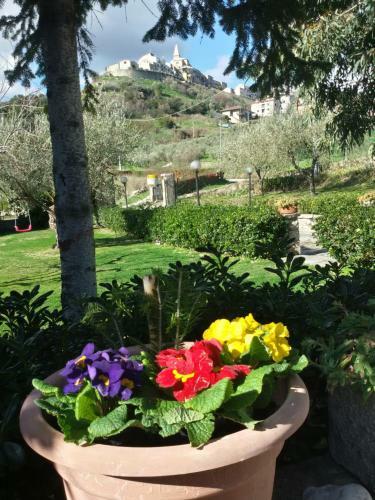 Bed & Breakfast Il Riparo