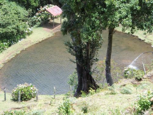 Lodge Lagunillas Del Poas