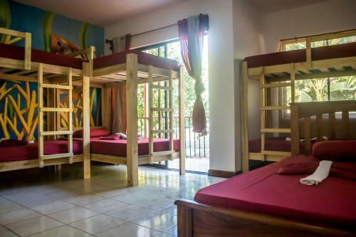 Apartamento Hostel Dos Monos
