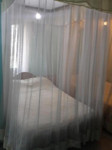 Hotel Green Court