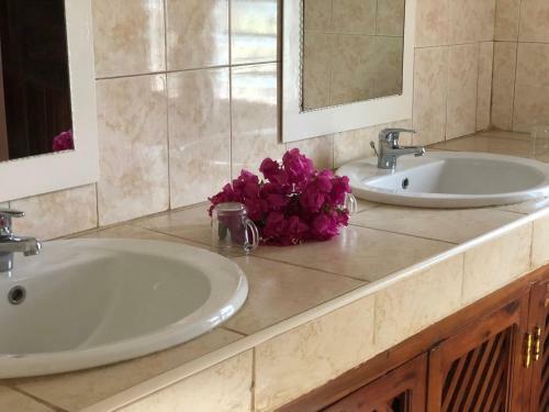 Apartamento Ghepard Eden