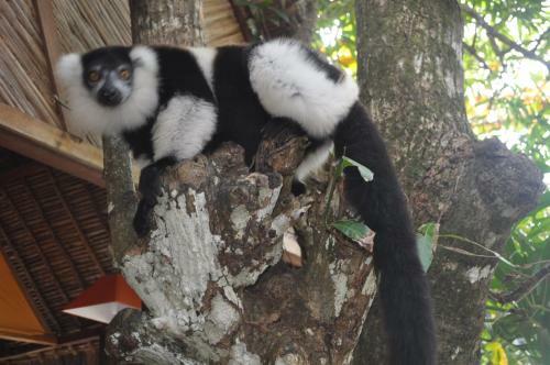 Apartamento Natiora Green Lodge