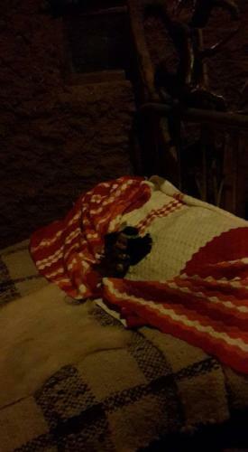 Caba�as Y Rukas Licant�n