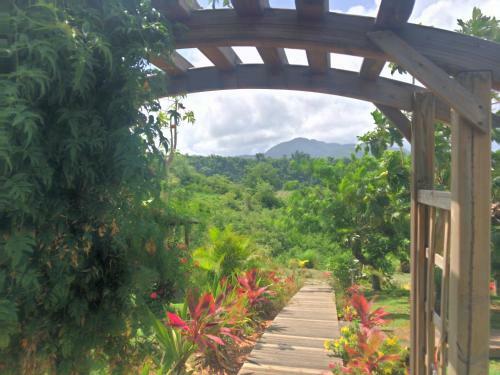 Paradis Tropical Appart'hotel