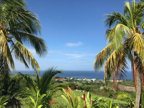 Paradis Tropical Appart'hotel