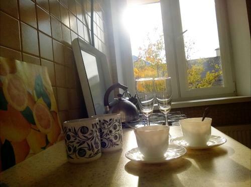Apartment Zamkovaya 14