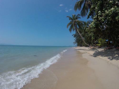 Hotel Silvermoon Beach & Jungle Resort