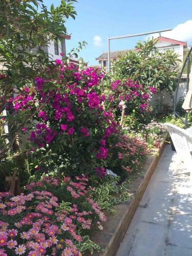 Bed & Breakfast The Pushu