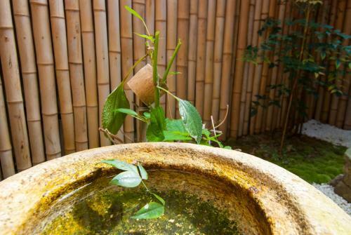 Kyo No Yado Bamboo Town