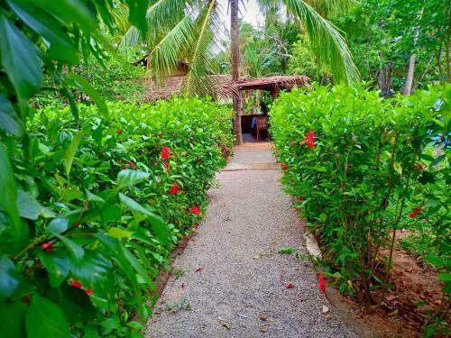 Hostal Sigiri Charuka Resort