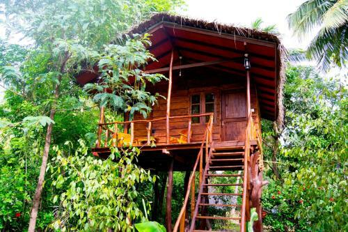 Hostal Sigiri Charuka Resort