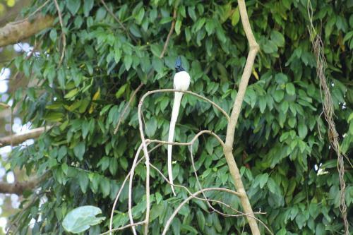 Posada Birds Paradise Inn