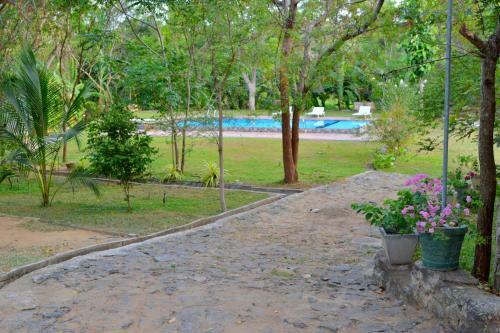 Posada Birds Paradise Inn