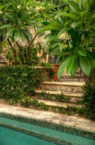 Villa The Bungalow Mount Lawley