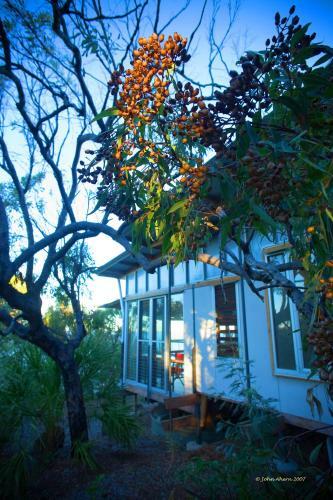 Sunrise At 1770 Holidays