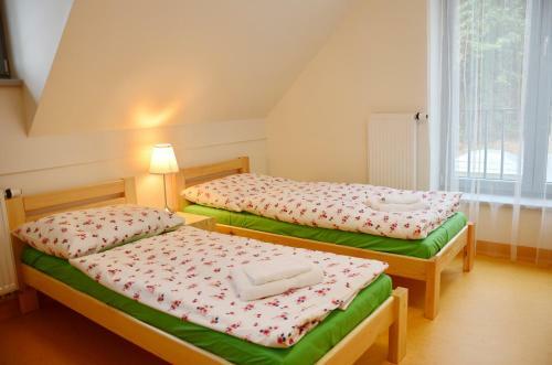 Hostal Mezi Stromy
