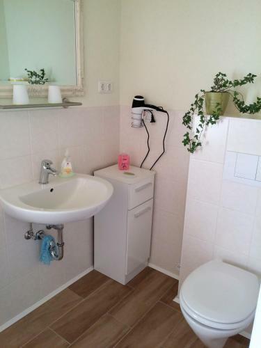 Apartamento Ferienhaus Wille