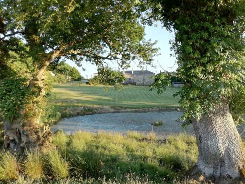 Bed & Breakfast Rectory Farm