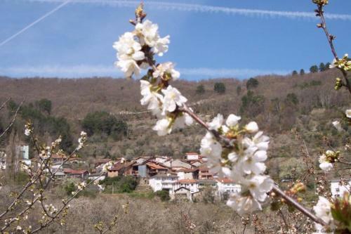 Agroturismo Casa Belen I Y II