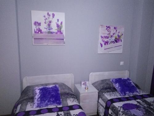 Apartamentos Alto As�n