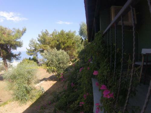 Rainbow Bay Ozdere Beach Hotel