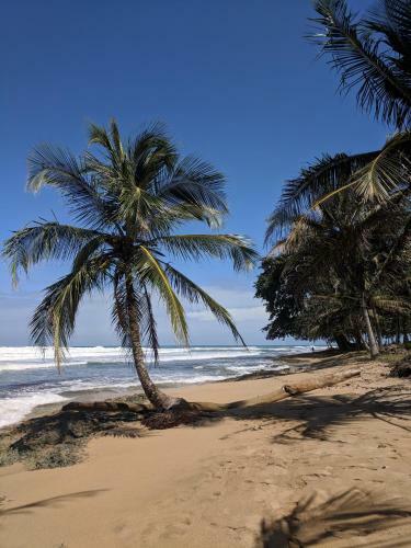 Apartamento Casa Manu Ciao - Playa Cocles