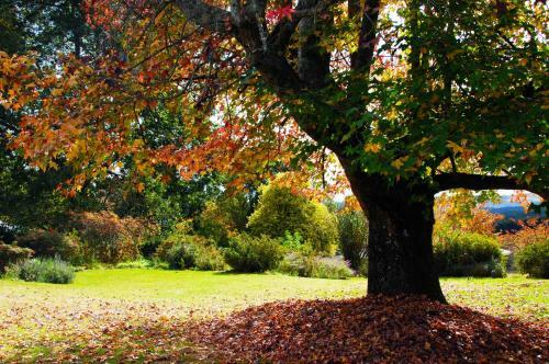 Lastingham Country Lodge