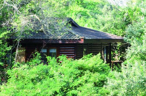 Mtunzini Forest Lodge Self Catering And Timeshare Resort