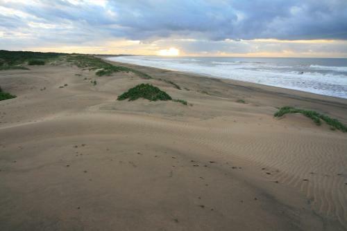 Mtunzini Forest Lodge Self Catering And Timeshare Resort