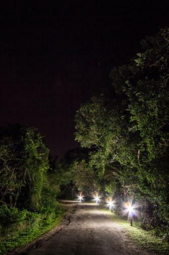 Mtunzini Forest Lodge Self Catering And Timeshare Resort