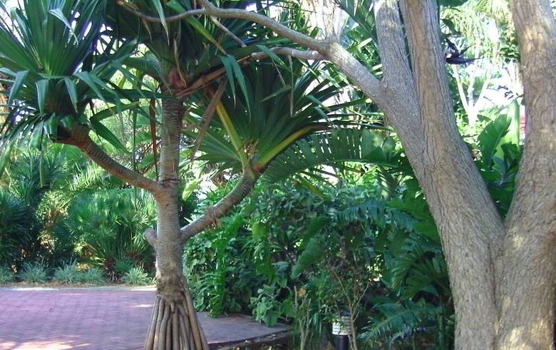 Bed & Breakfast Amanzi Guest House