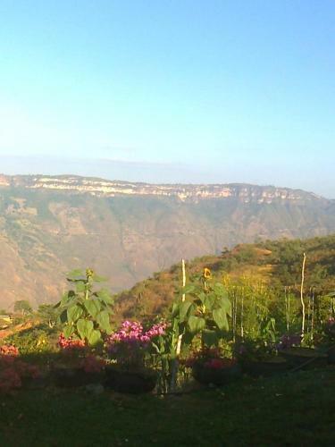 Agroturismo Caba�as Campestres