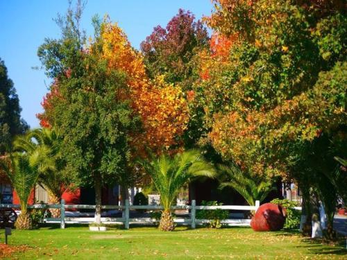 Hotel Colonial Maule Villa Alegre