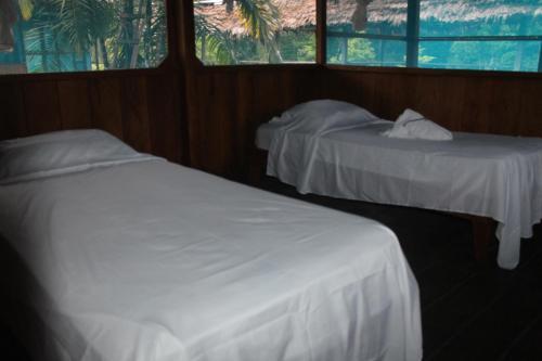 Lodge Tropical Adventures & Expeditions