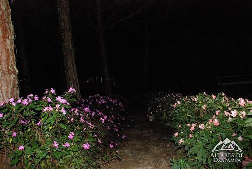 Lodge Altares De Oxapampa