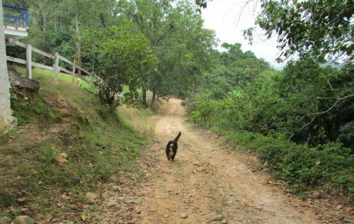 Fazenda S�o Miguel