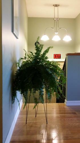 Hostal Eileen's Bed & Breakfast/guest House