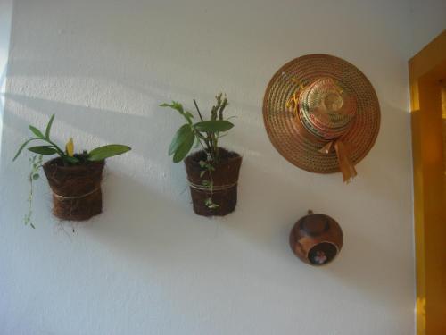 Hostal Hospedaria Lar Sagrado Arco-�ris