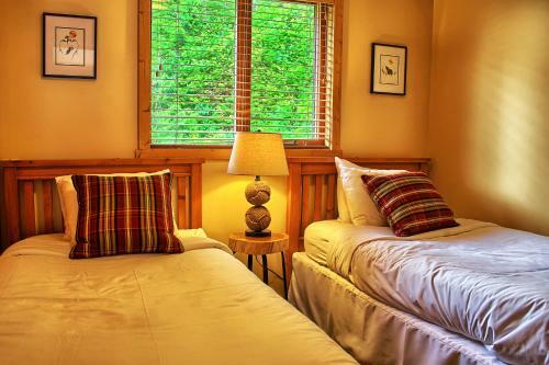Hotel Wild Renfrew Seaside Cottages