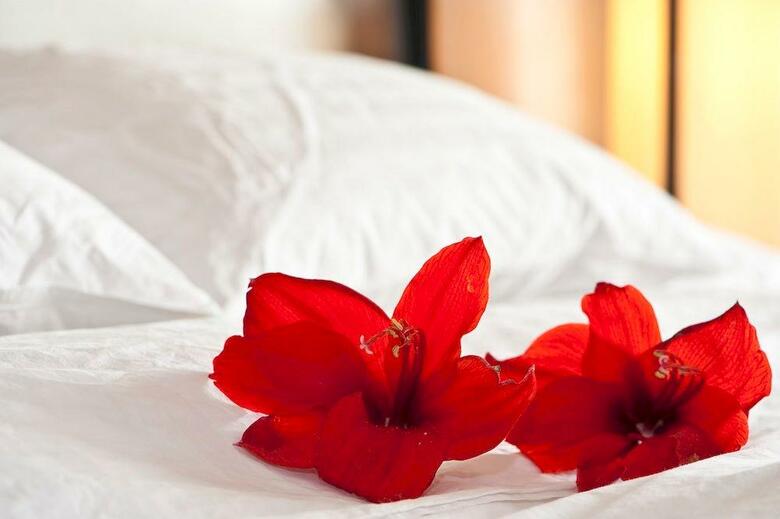 Hotel H�tel Champ-de-mars