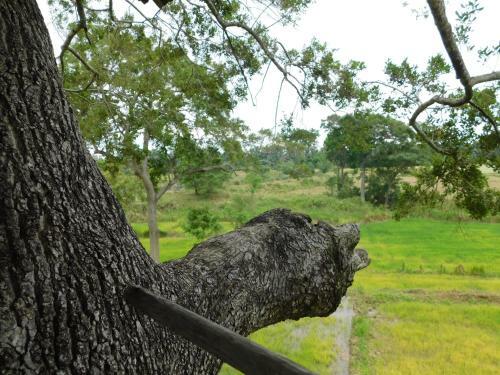 Hotel Galapita Eco Lodge