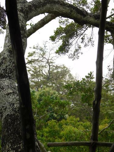 Hotel Galapita Eco Lodge