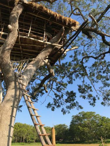 Hotel Galapita Eco Lodge