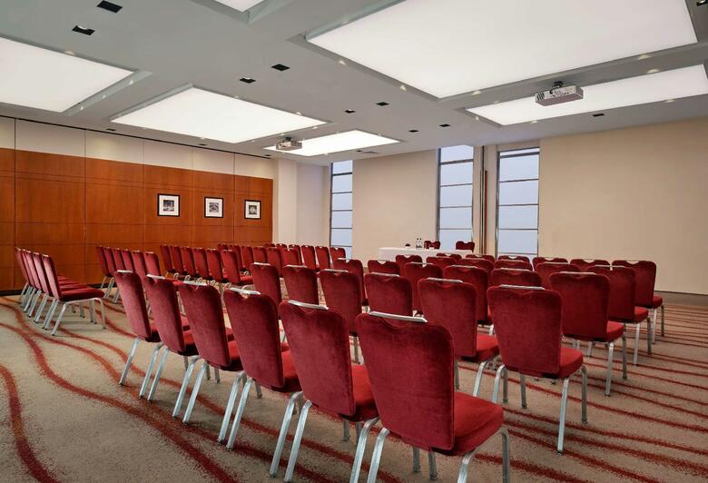 Hotel Park Plaza Victoria London