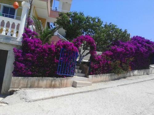 Apartments Vila Ardi